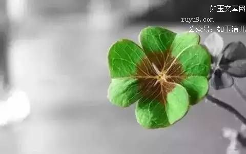 水不试不知深浅, 人不交不知好歹! 水不试不知深浅, 人不交不知好歹!
